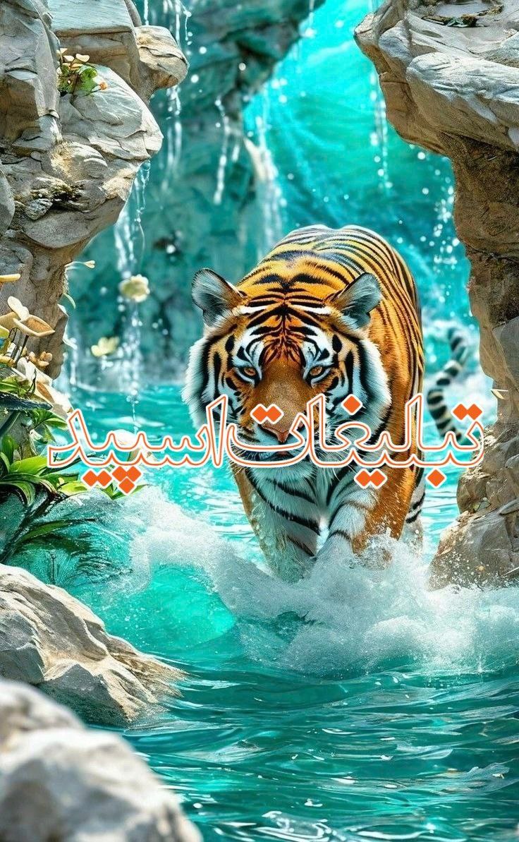 🇸‌🇦‌🇱‌🇹‌🇦‌🇳‌🇦‌🇹‌