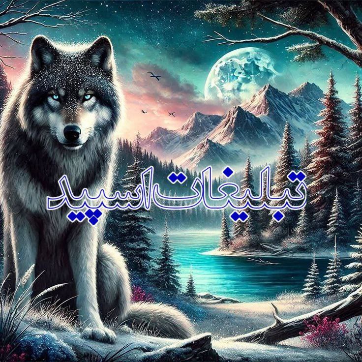 ⎯꯭᪵̽𝆺꯭𝅥𝐖𝐈𝐋𝐃𓆩᪵🜲꯭𓆪̥𝐖𝐎𝐋𝐅⎯꯭꥓᪵ͯ⟶ (262)