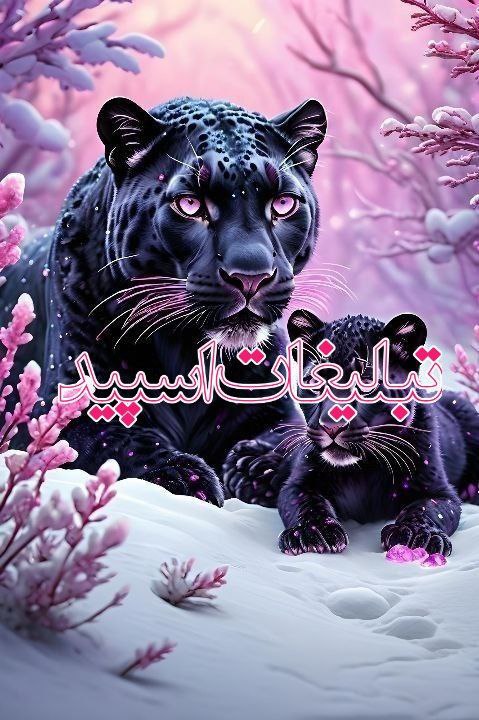 تبلیغات