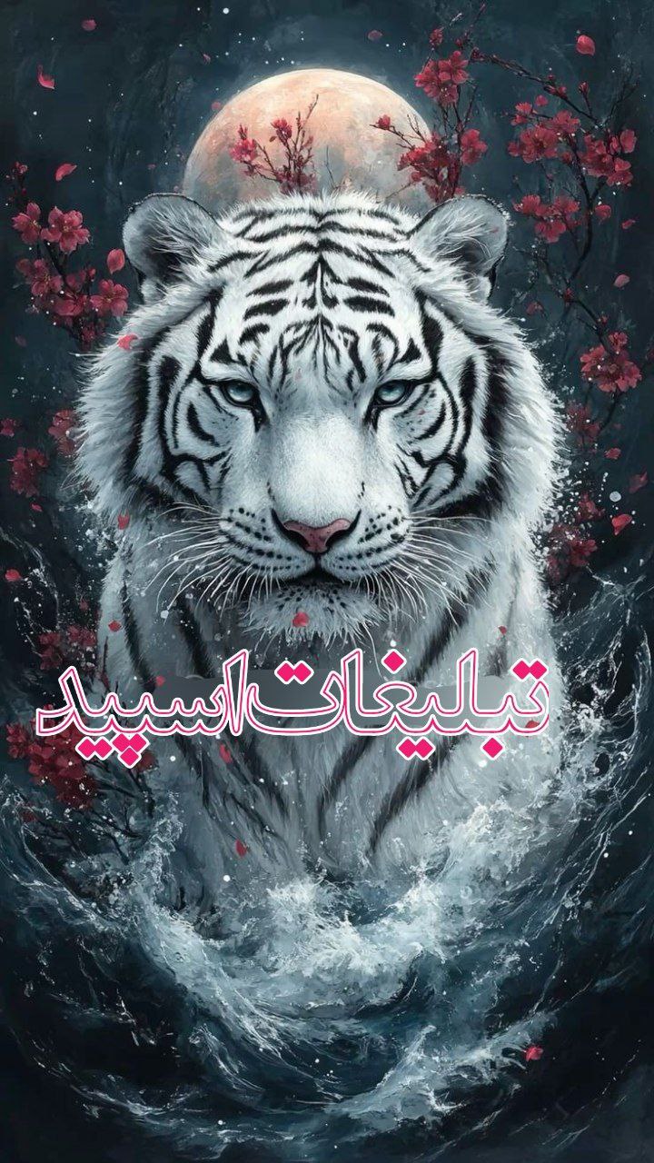 گروه خودمونی