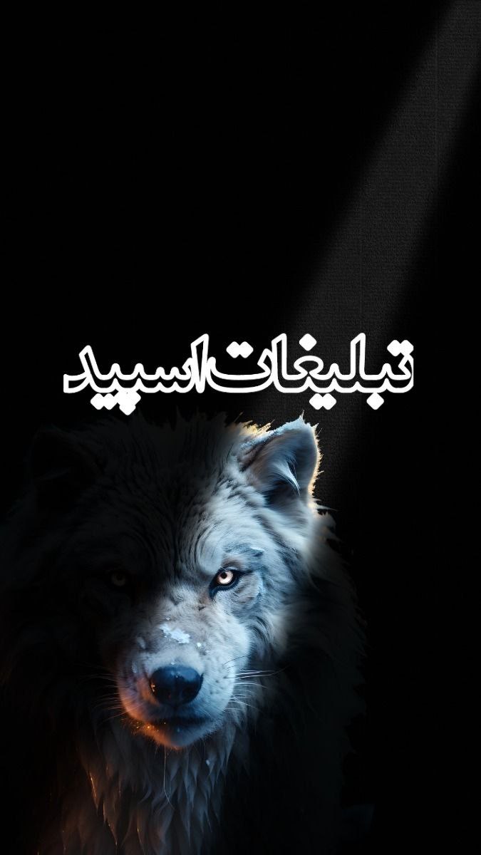 پاتوق دورهمی (5)