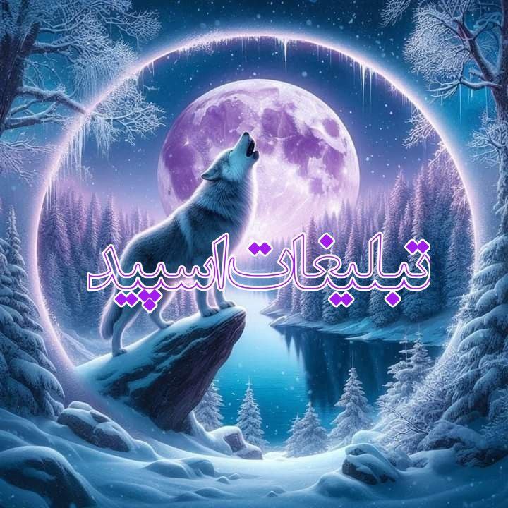 چت گیلان شمال بلامیسرا (5)