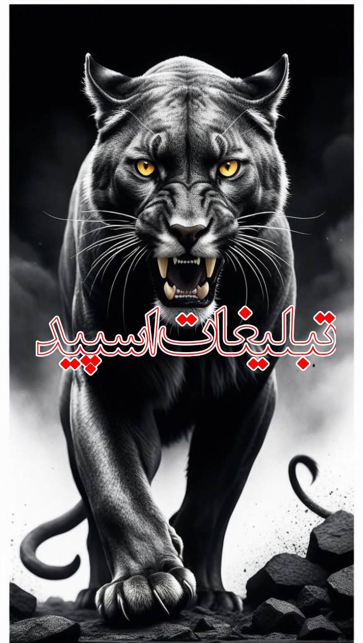 فاب دوستان (2)