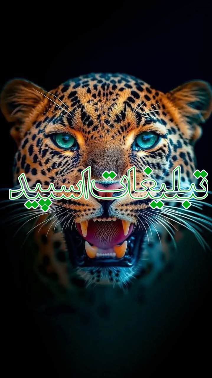 تبلیغات
