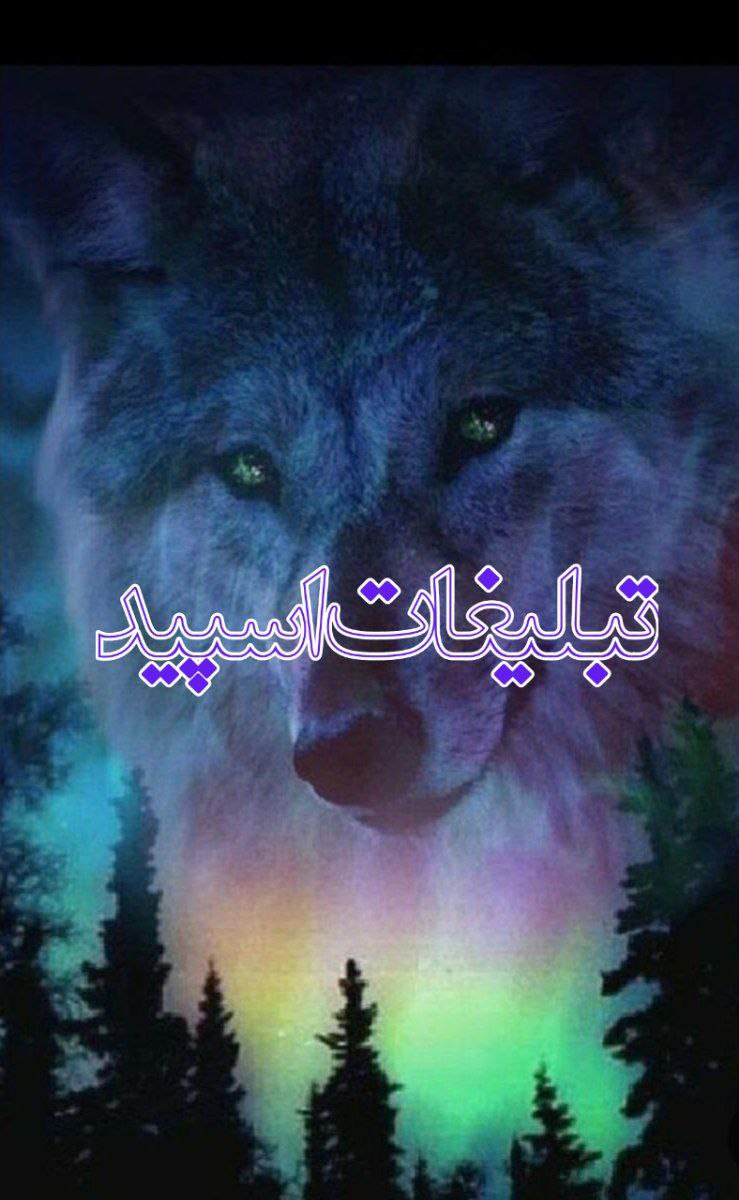 تبلیغات