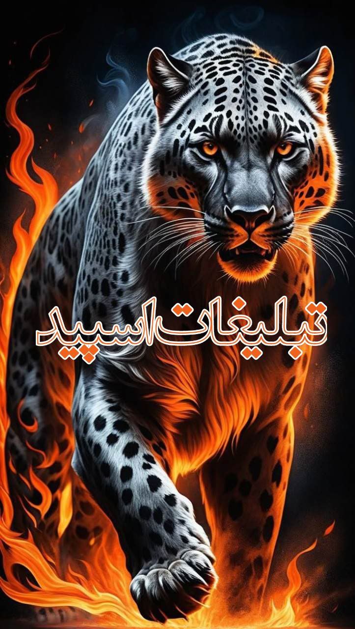 دورهمی ❤️❤️ (2)