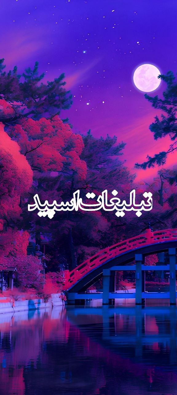 وایلد ولف (72)