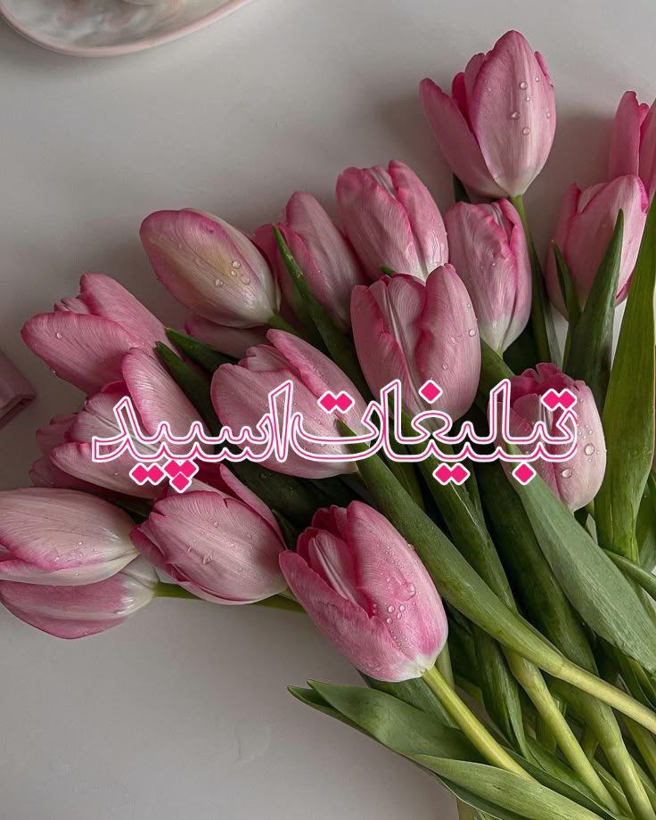 تبلیغات