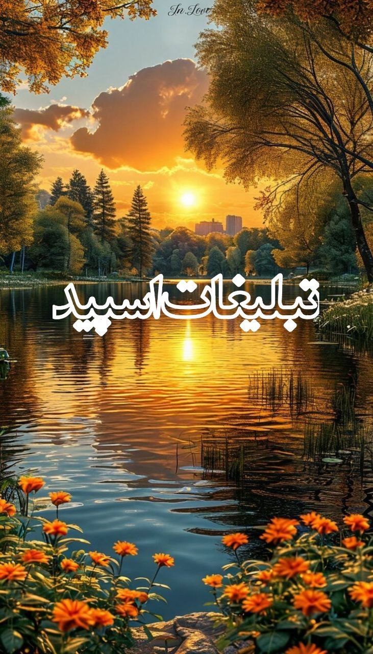 کافه آرامش دوستان