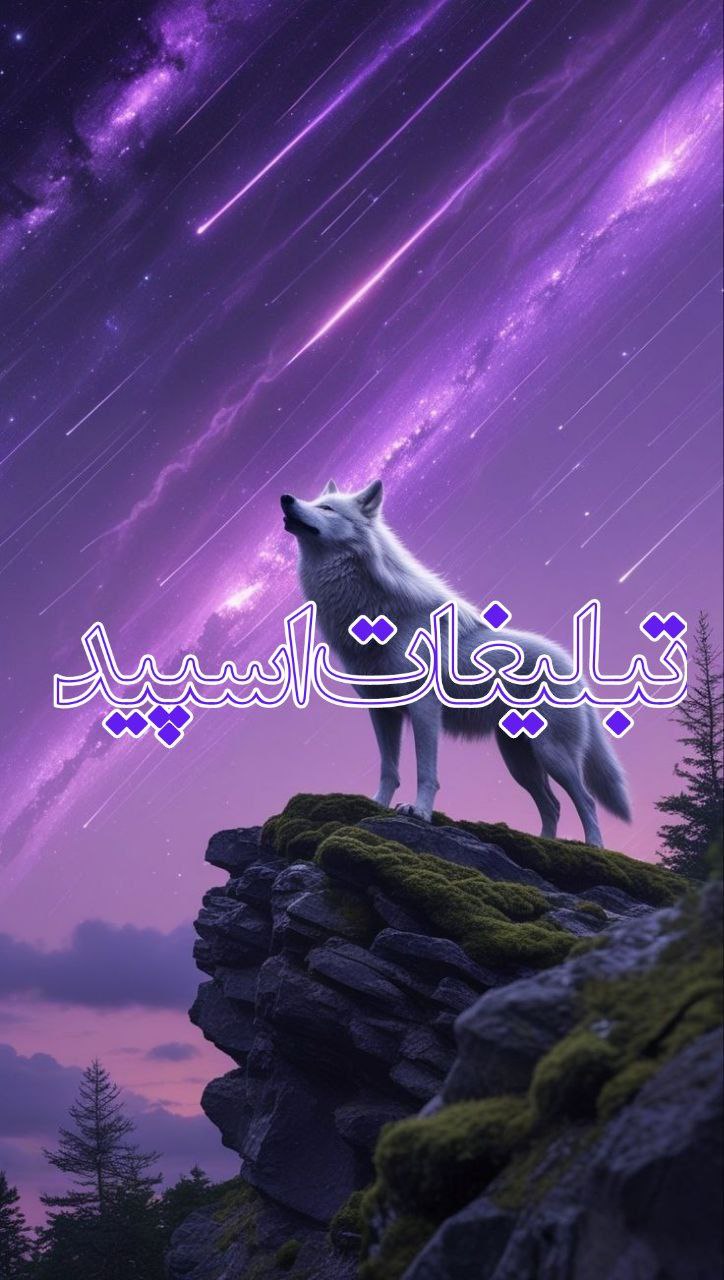 ولف لند (4)