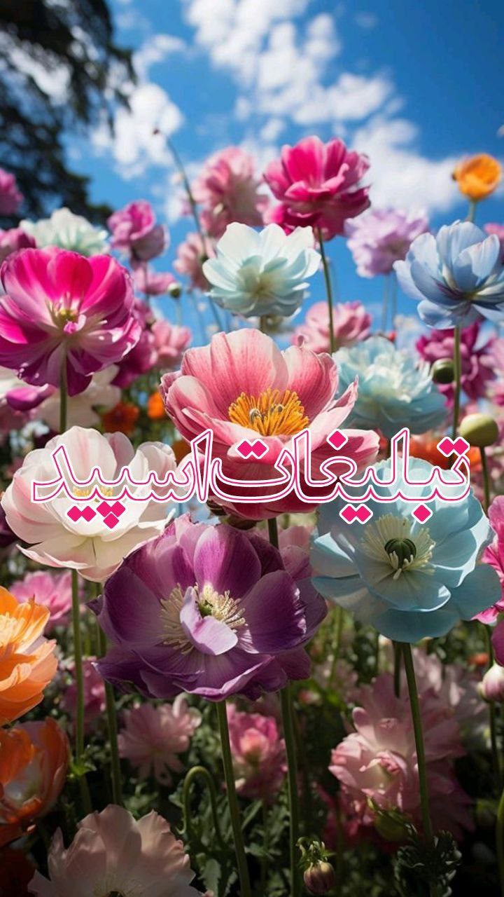 وایلد ولف (33)