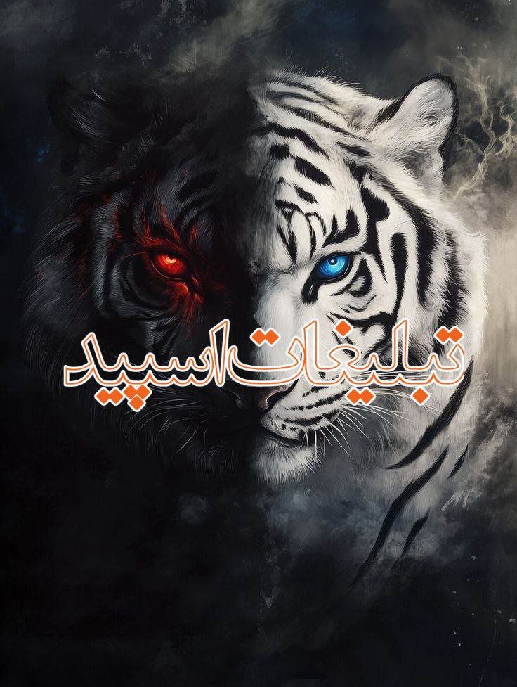 محفل خوبان (17)