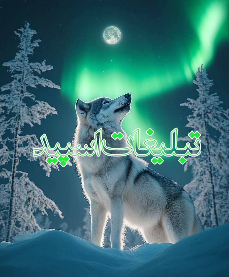 𝙆𝙊𝙇𝘽𝙀𝙃 𝙊𝙎𝙃𝘼𝙂𝙃 🩵