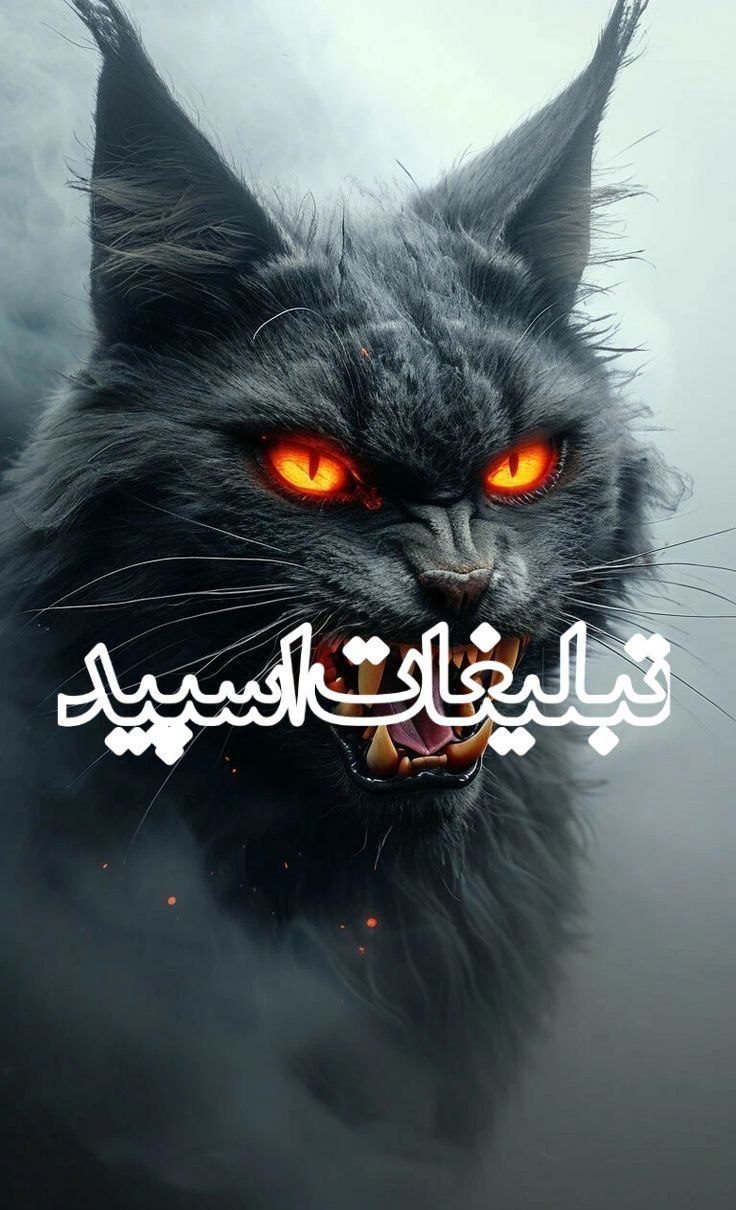 وایلد ولف (263)