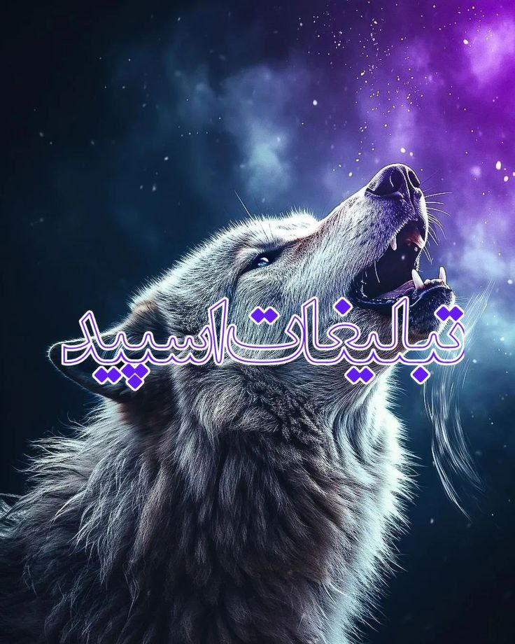 𝐖𝐈𝐋𝐃 𝐖𝐎𝐋𝐅 (16)