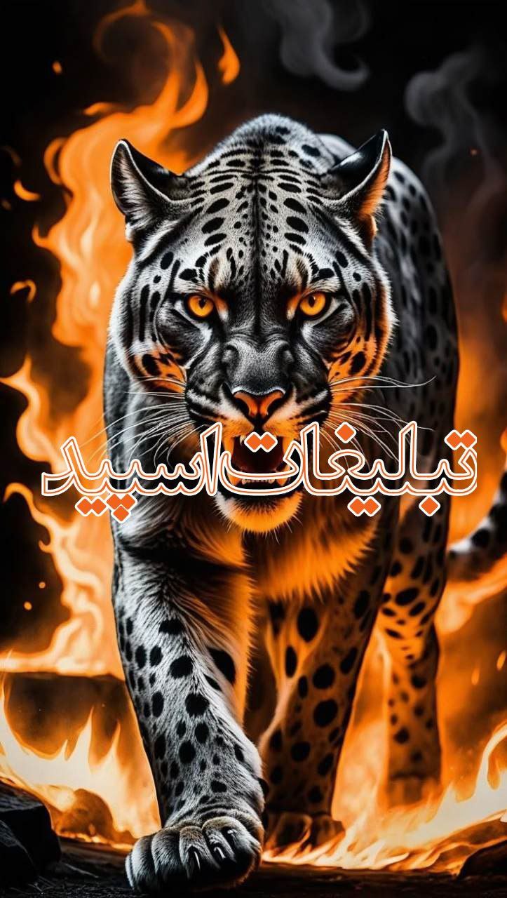 پاتوق باجنبه ها (1)