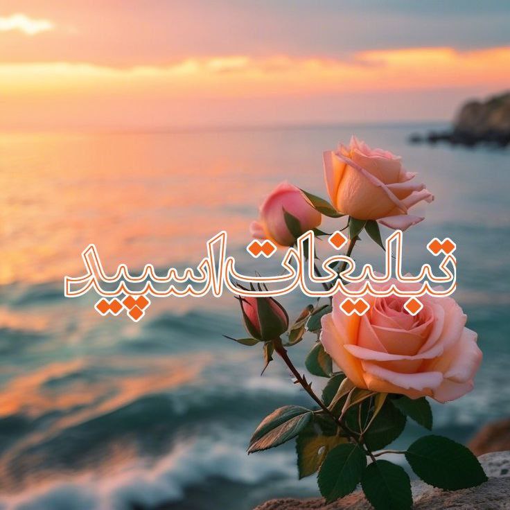 ماه نشین 🌒