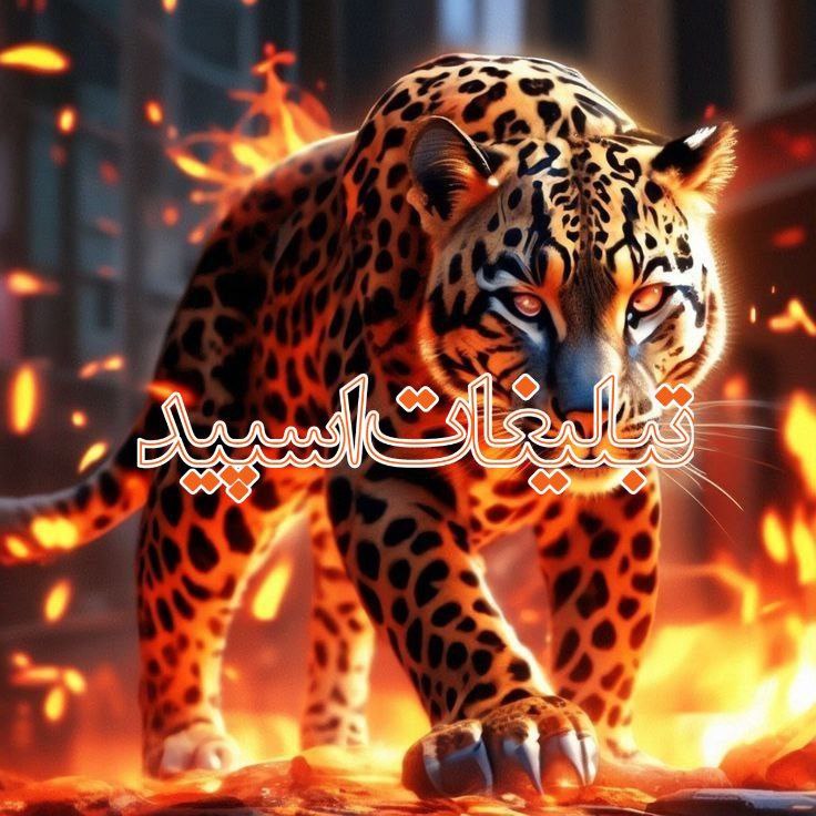 لایو ناب (19)