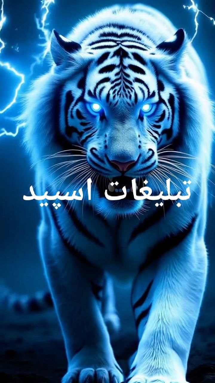 🫀✨Gp. Shabha ye shomal✨🫀 (7)