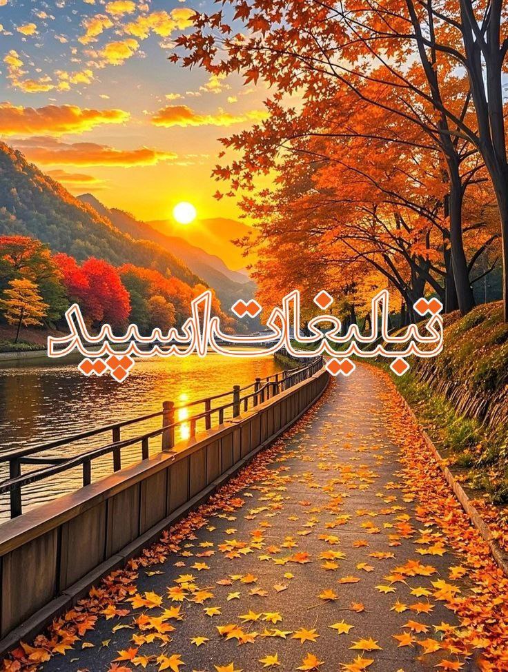 تبلیغات