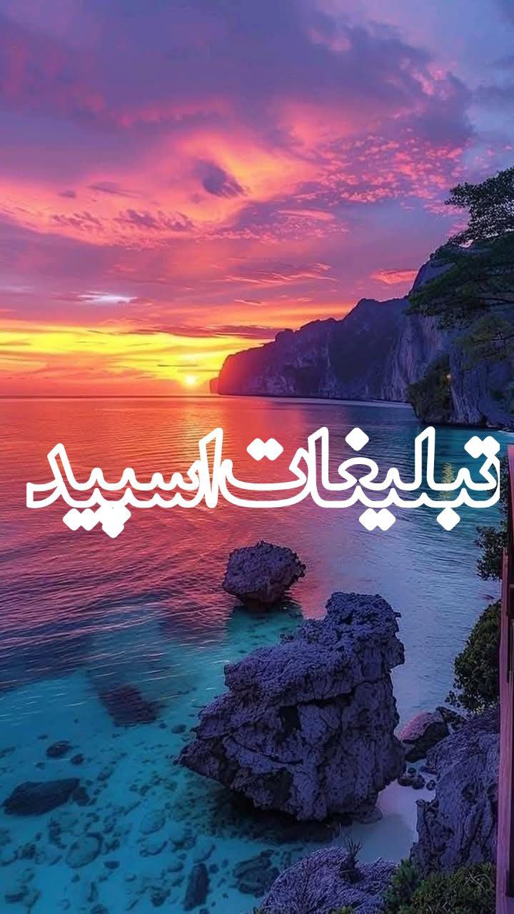 وایلد ولف (47)