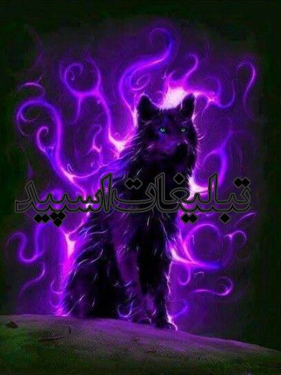 کلبه دوستان ❤️