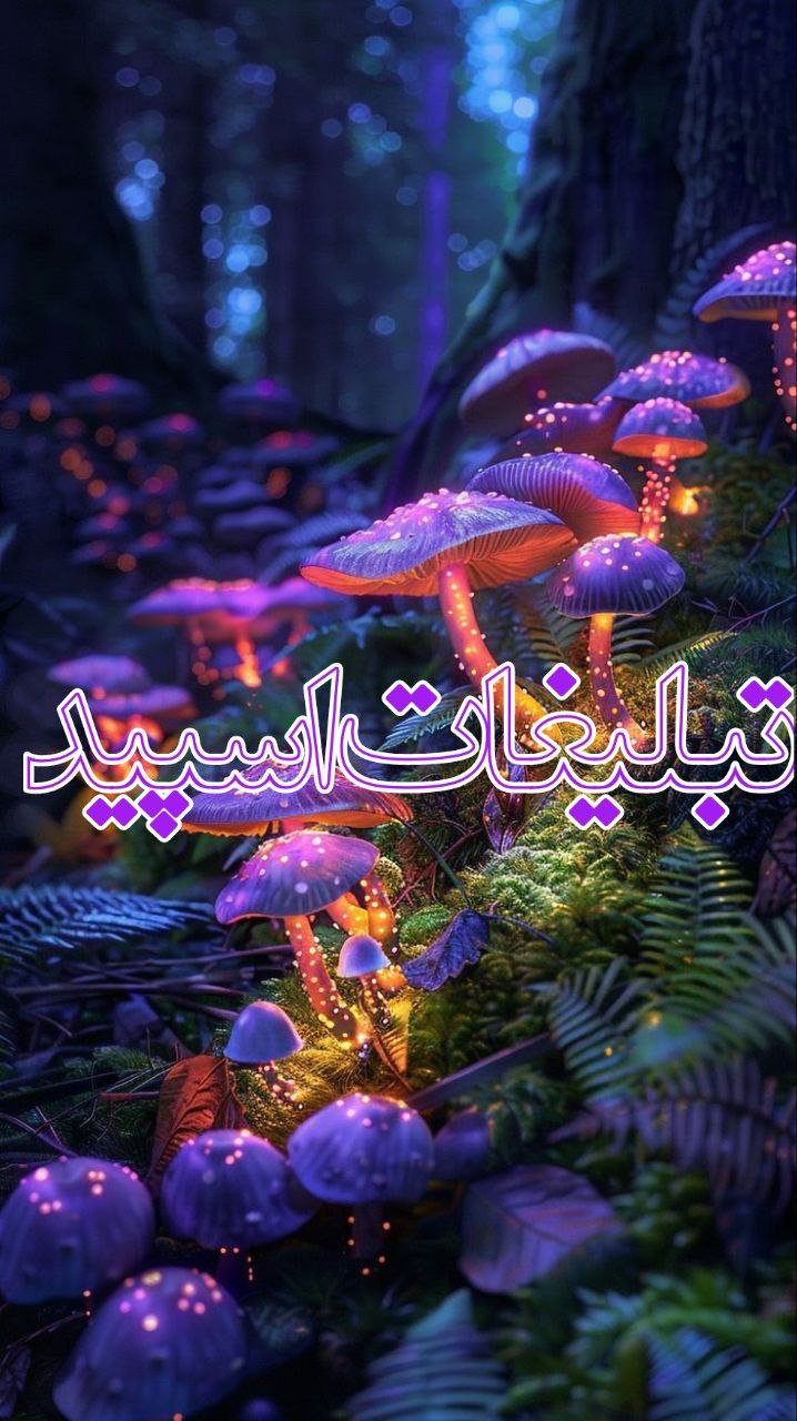⎯꯭᪵̽𝆺꯭𝅥𝐖𝐈𝐋𝐃𓆩᪵🜲꯭𓆪̥𝐖𝐎𝐋𝐅⎯꯭꥓᪵ͯ⟶ (352)