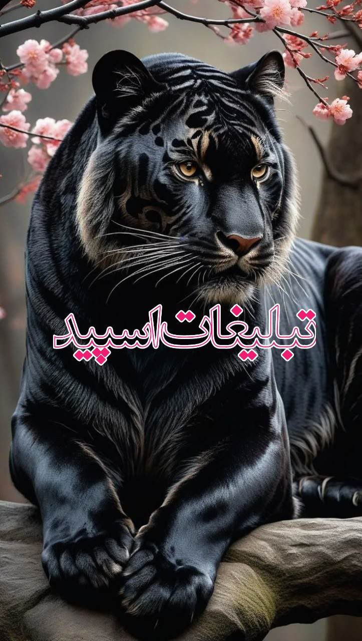 تبلیغات