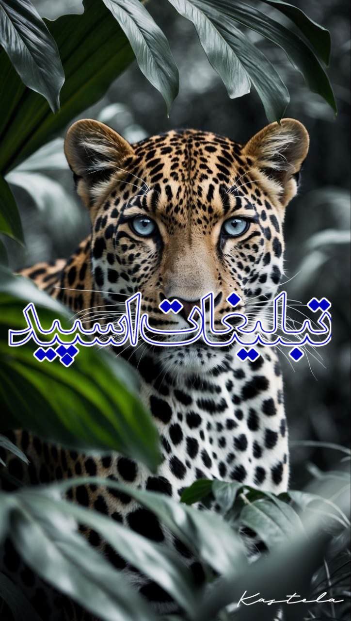 ® ·♥●˙ ࡏަ‍ܝ‌𐬐ܘ ࡋߺ‍ࡅ࡙ߺ‍ࡋߺ‍ܨ 🫦 ܩ‍ܟٜߺ‍ࡅ࣪ߺ‍𐬐ࡍ߭ ·♥●˙ ®
