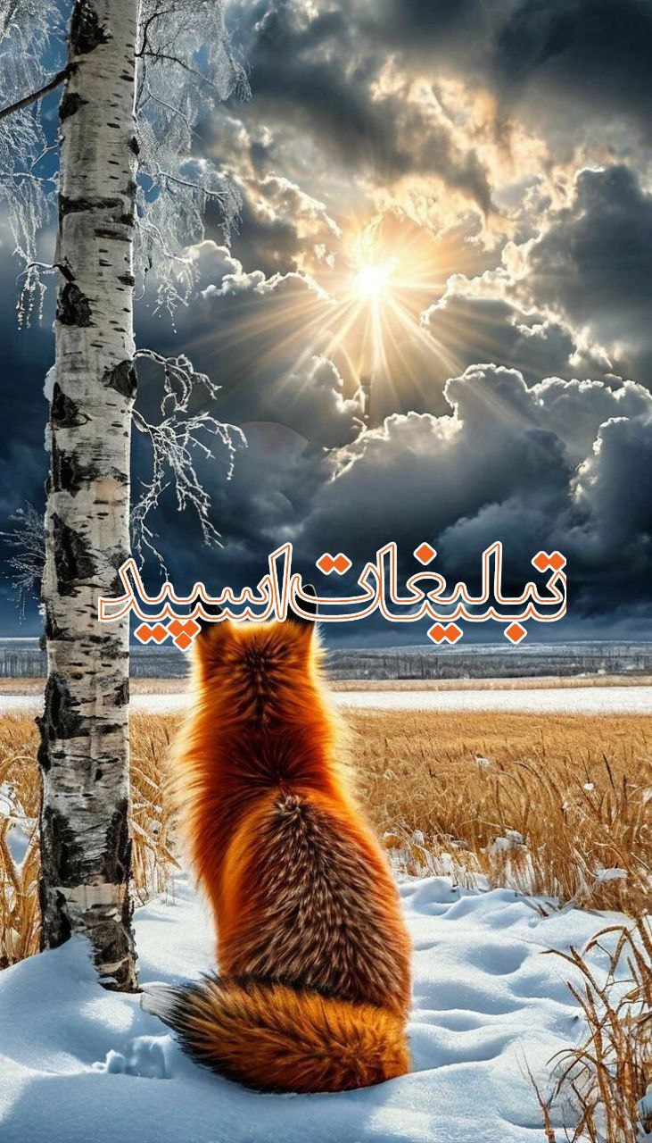 وایلد ولف (133)