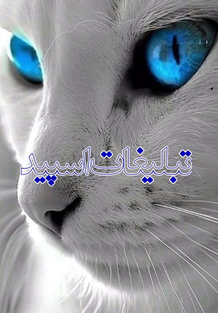 لاکچری ایرانیان ❤️