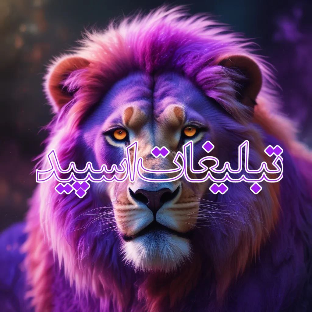وایلد ولف|WILD WOLF (3)