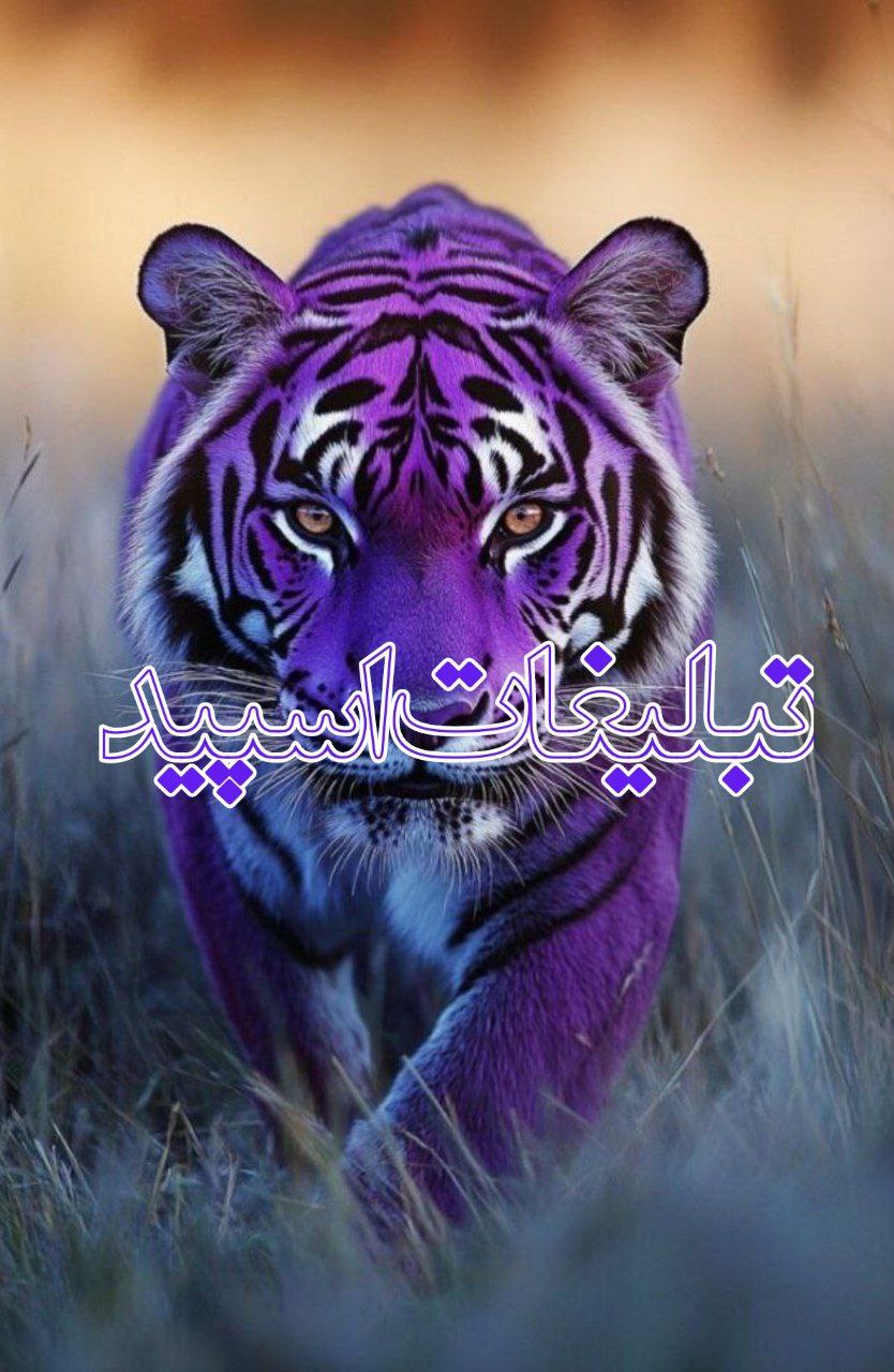 وایلد ولف (84)