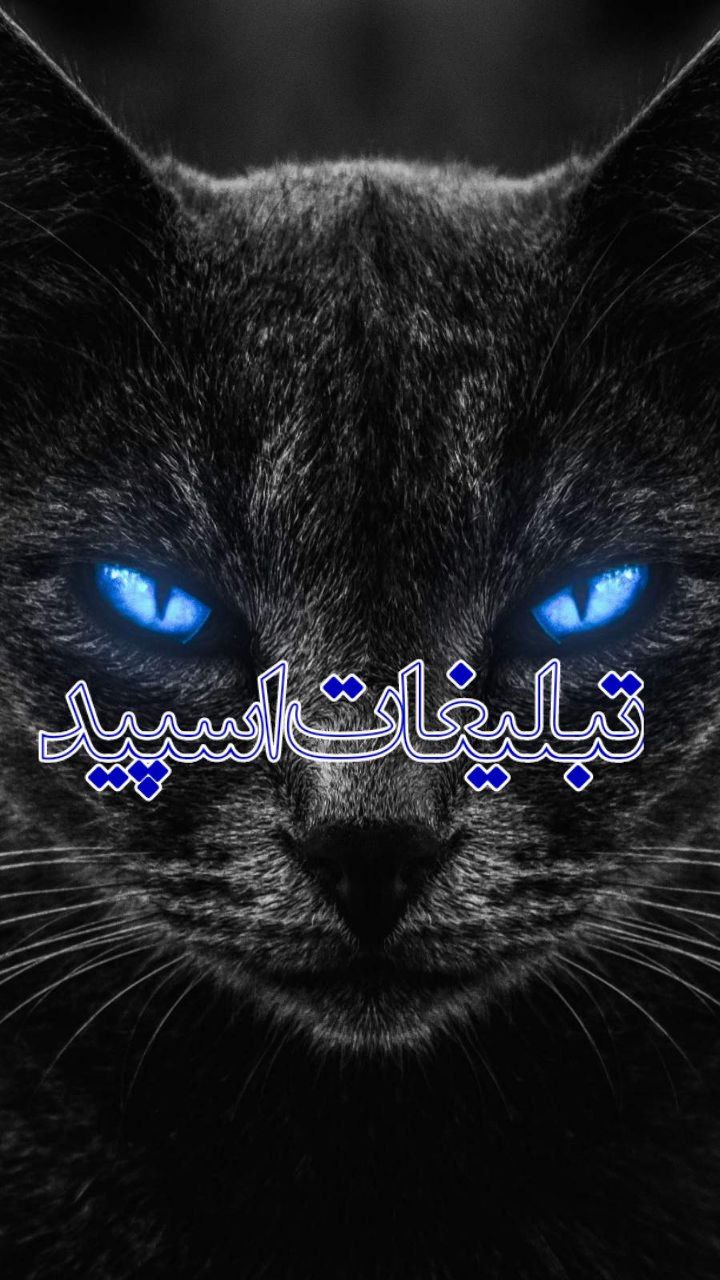 [🍇🍷]ᬉ ⃤♥️روزهاے عاشقے♥️🌙ᬉ ⃤🥂] (16)
