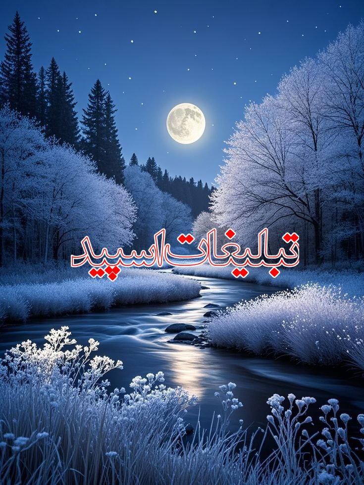 وابلد ولف (1)