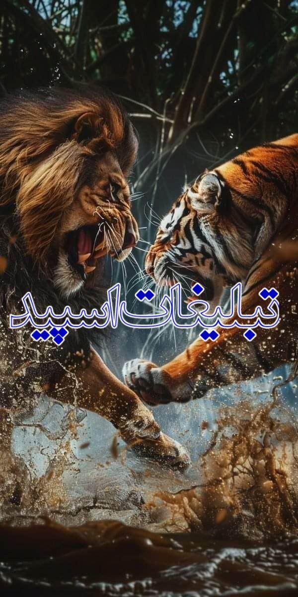 دورهمی دوستان (36)