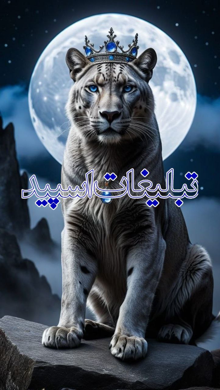 🩵(دلــهـای هـمـاهـنـگــ)🩵 (3)