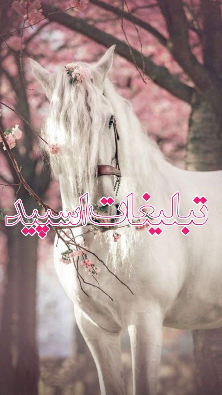 بچه های دیروز