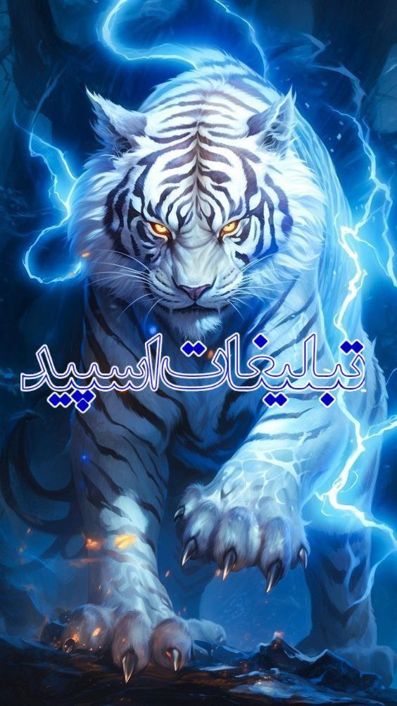 💎✨ دورهمی الماس✨💎 (2)