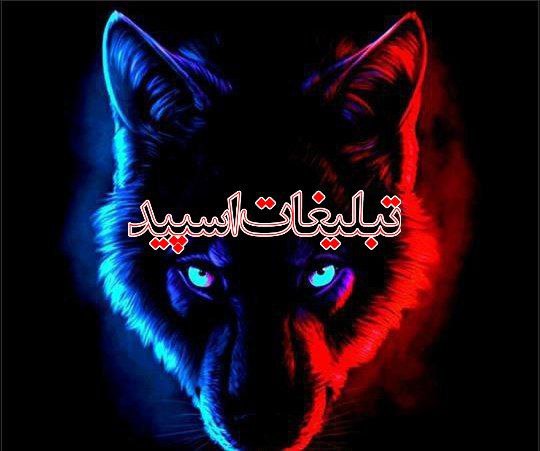 کازینو💃