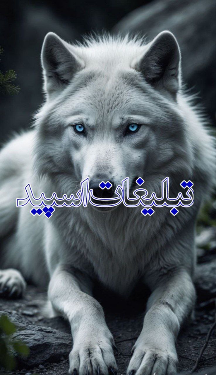 قلب های مهربان❤️❤️