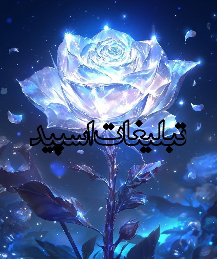 🎀𝓆𝓊𝑒𝑒𝓃 𝒱𝑒𝓃𝓊𝓈🎀 (17)