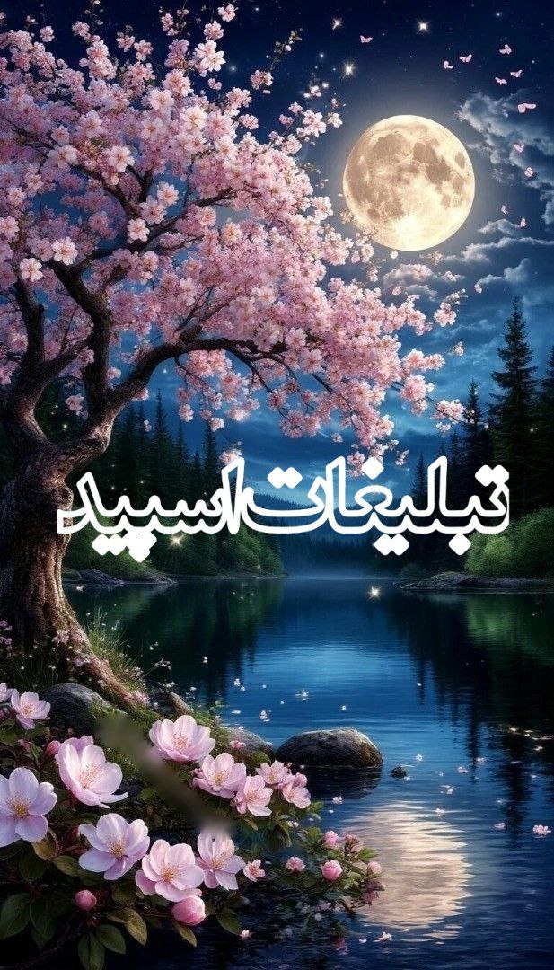وایلدولف (12)
