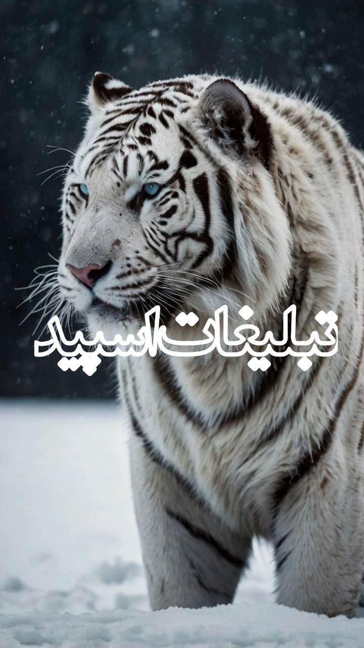 ✌️♠️ ςђเɭ๔гєภ ๏Ŧ ๔єรՇเภץ ♣️✌️