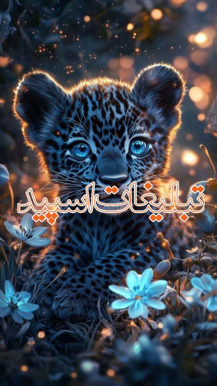 تبلیغات