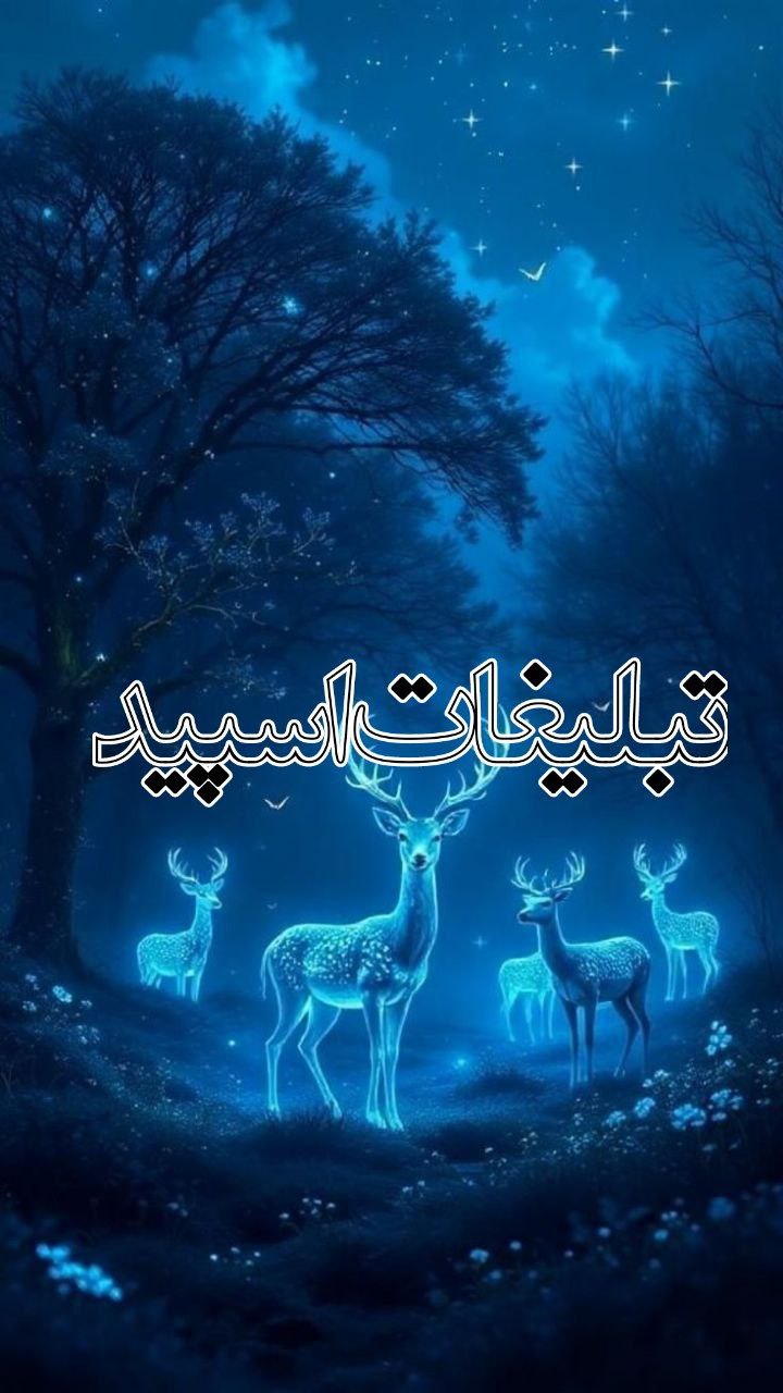 ⎯꯭᪵̽𝆺꯭𝅥𝐖𝐈𝐋𝐃𓆩᪵🜲꯭𓆪̥𝐖𝐎𝐋𝐅⎯꯭꥓᪵ͯ⟶ (209)