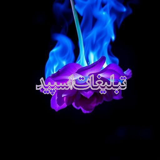 「هـمـدان نـایـت」| 𝓗𝓐𝓜𝓔𝓓𝓐𝓝 𝓝𝓘𝓖𝓗𝓣 (3)