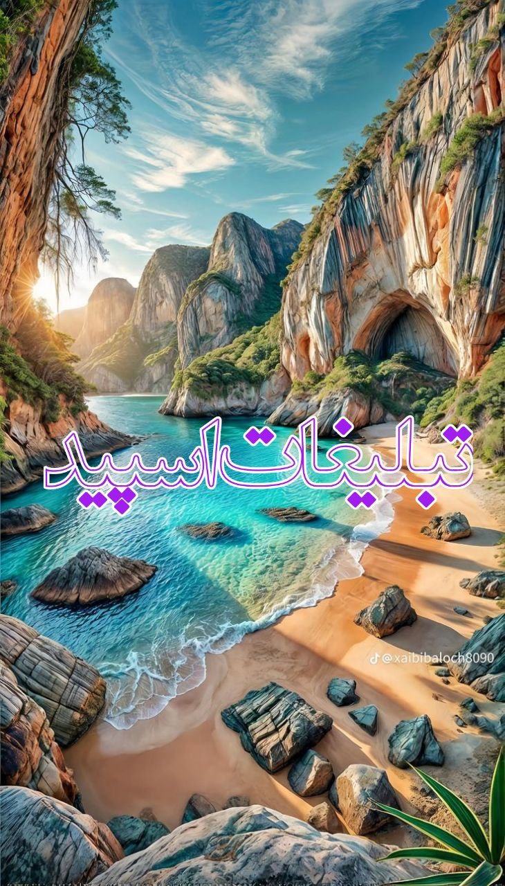 ولف لند (13)
