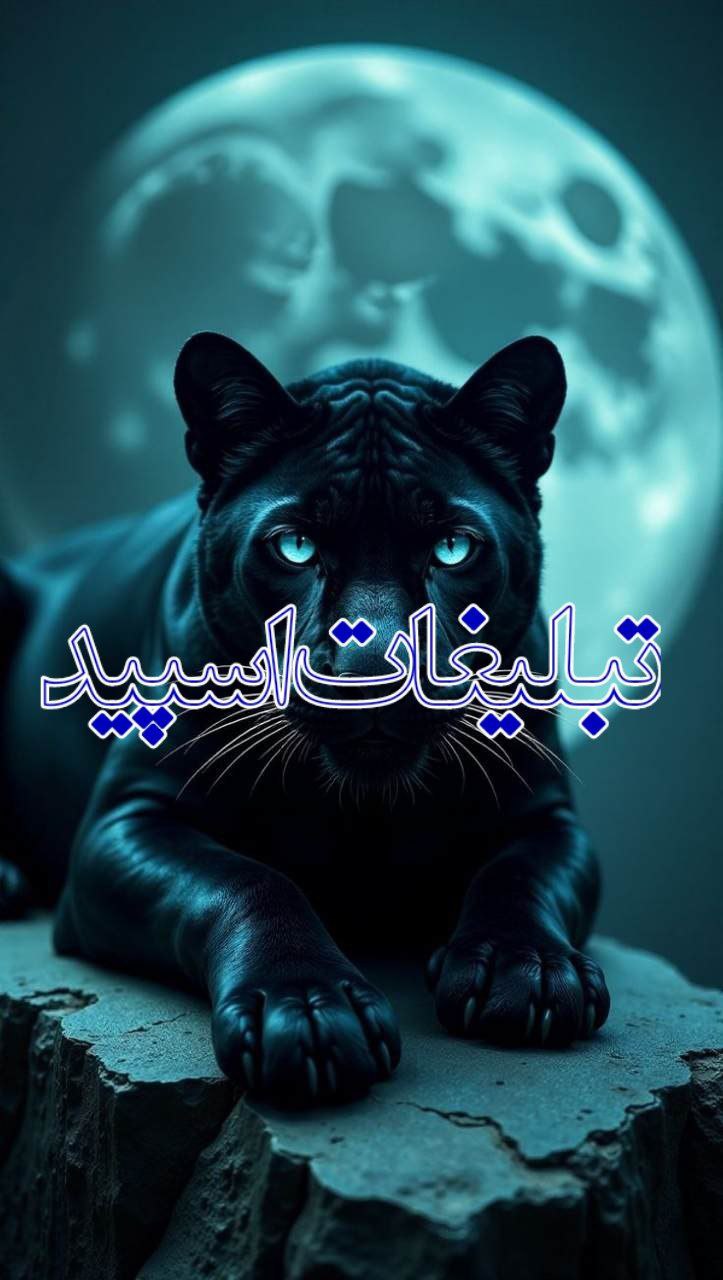 🌈 𝑳𝑰𝑽𝑬 𝑵𝑨𝑩✨ (14)