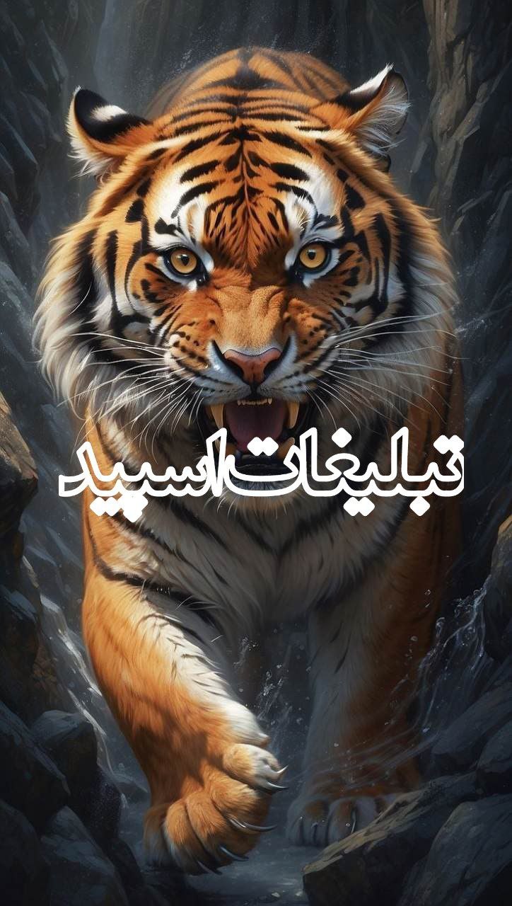 دورهمی دوستان ماندگار (14)